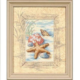 SHELLS IN THE SAND, Counted Cross Stitch Kit, 14 count ivory Aida, DIMENSIONS (06956)