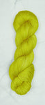 KnitPro | Symfonie Yarns | TERRA 75% Superwash Merino & 25% Nylon Fingering - Leo Hobby