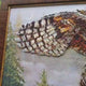 Perlenstickerei-Set B-694 „Weiser Vogel“ Charivna Mit, Größe 45,2x32 cm