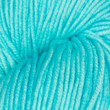 Symfonie Hand Dyed Yarns | VIVA 100% Superwash Merino | SS1011 Aqua Ice (Semisolid color)